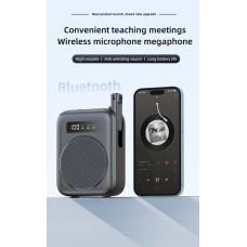 Wireless Voice Amplifier with 2 Lavalier Mic